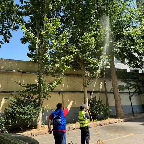 【佛山慧治】历山名郡社区防虫害消杀记事