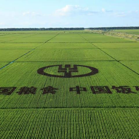 “汲取北大荒精神力量”——讷河市红五月学校开展北大荒精神专题讲座活动