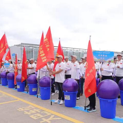 七十五年侨心向党 海沧侨界健步同行