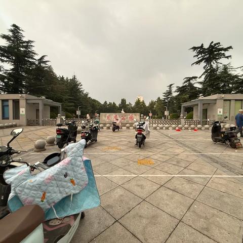 晨光伴锦鲤，温情满月季——焦作月季公园一场温柔的喂鱼之约！2026年8月15日清晨7:00。