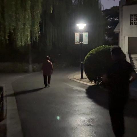 焦作月季公园：为您照亮前行的路！ 2026.10.11