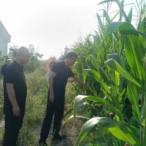 韩城市农业农村局9月8日工作动态