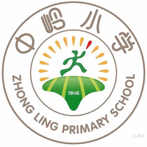 中岭小学2024年青年教师培训