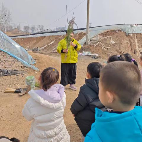 我与小树🌲共成长——潞州区紫丹幼儿园芒果二班春游记