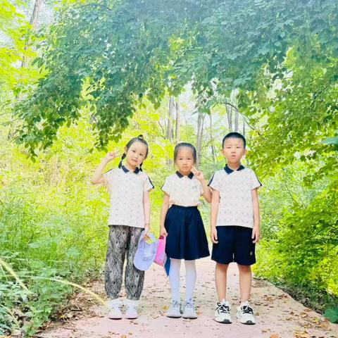 芒果二班的伙伴们我们一起去捉泥鳅啦📢