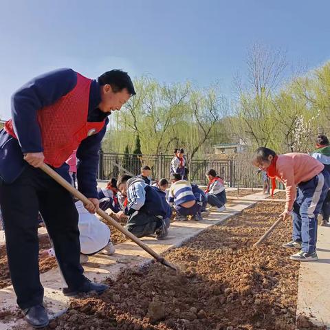 “小”土豆，大收获——四一班劳动种植记