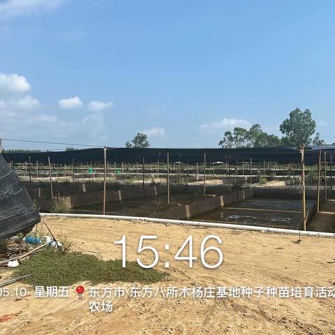 新龙镇巡查发现一处违建牛蛙养殖池