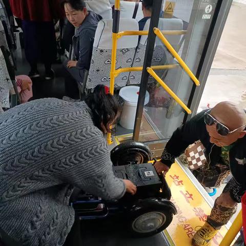 用轮椅丈量园博园的菊展魅力