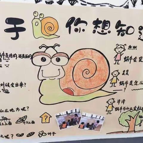 与“蜗”🐌相遇