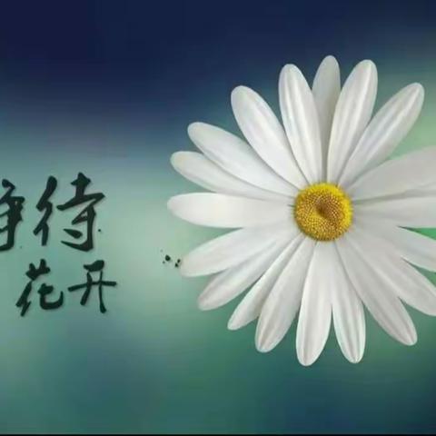 【理念共享】用心浇灌    静待花开