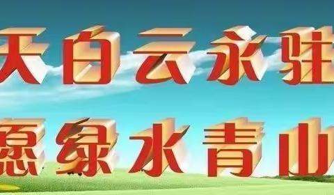 开展环境卫生大整治  助推市容市貌再提升