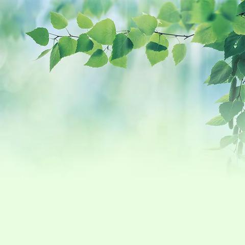 一   封   家   书