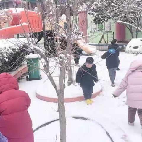 下雪了，下雪了，雪地里来了一群可爱的小精灵！