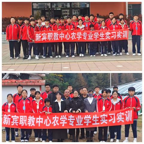 深耕希望的田野，谱写青春绿色篇章﻿——新宾职教中心农学专业学生实习实训纪实