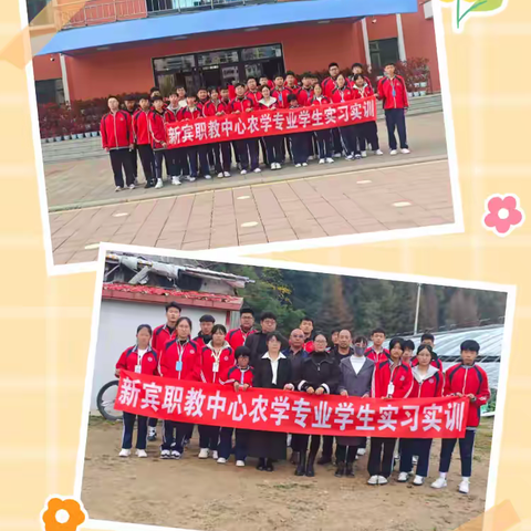 深耕希望的田野，谱写青春绿色篇章——新宾职教中心农学专业学生实习实训纪实