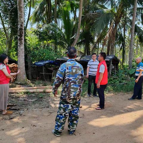 新寨网格员与村干部下村调解农户的椰子纠纷