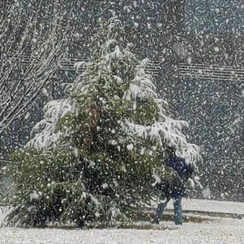 一场风雪，一场守护——二一二研究所物业服务中心