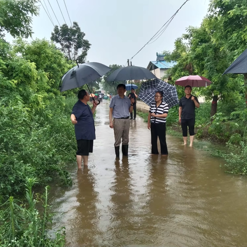 陈官庄乡全力应对暴雨天气