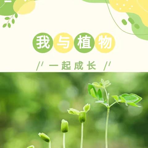 🌱种植园课程故事—西红柿成长记——建国中心小学一年级劳动实践活动