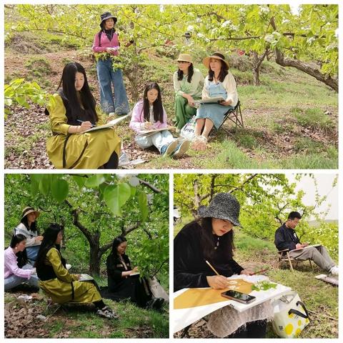 浪漫梨花开，春光入画来 ——海城市美术名师工作室梨花节写生活动