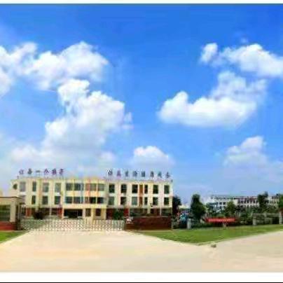 邹城市郭里镇教育系统 年度榜样人物展播 ——郭里镇高李村小学张翔宇