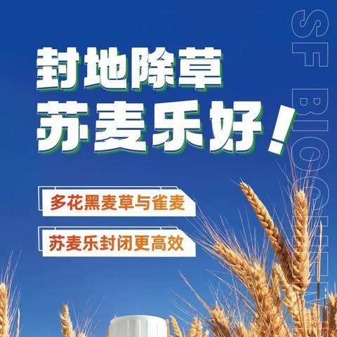 河南苏麦乐市场启动会——上蔡站