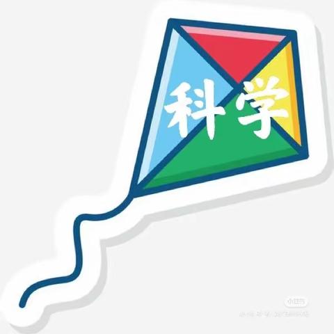 🎉智慧屿幼儿园【启智四班】一周精彩花絮