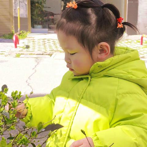 小小班第三周美好时光集锦