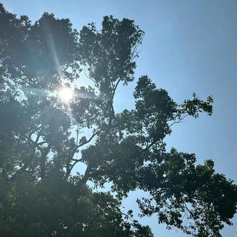 借五月之夏 赏满园芳华