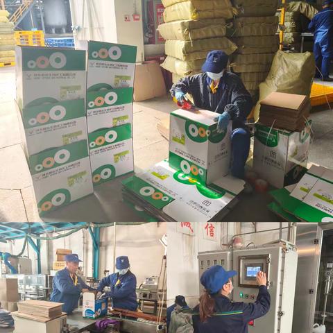 劳动赋能成长，双手创造美好——六车间制剂包装