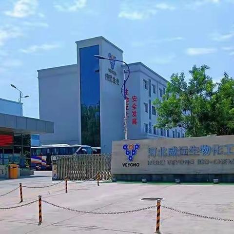 仓库地面划线：精细规划，助力高效仓储管理