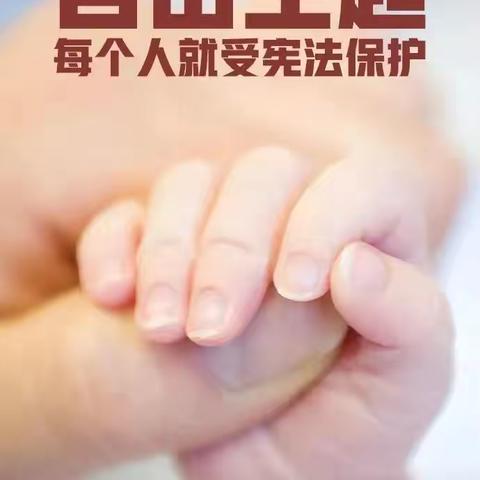 “宪”入人心   “法”育未来 ‍——榆中县翰林院幼儿园宪法日知识宣传 ‍ ‍