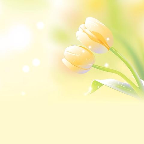 玩转绘本 悦享运动——榆中县翰林院幼儿园五一趣味运动会精彩集锦