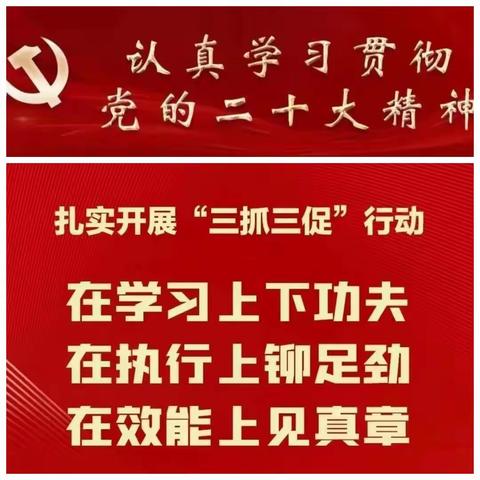 读书沐初心，书香致未来——高三十一班驻校活动纪实