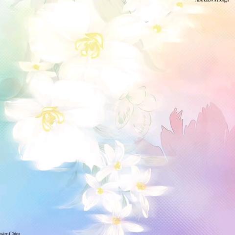 少年逐梦 艺路花开 朝阳学校2025年﻿﻿“三独”比赛