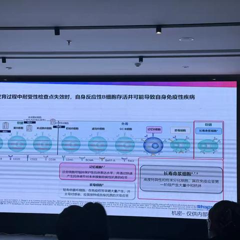 【2025.1.22-24青岛年会】4