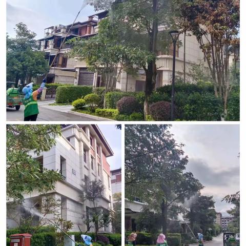 【恒泰物业】豪庭本周服务工作日常