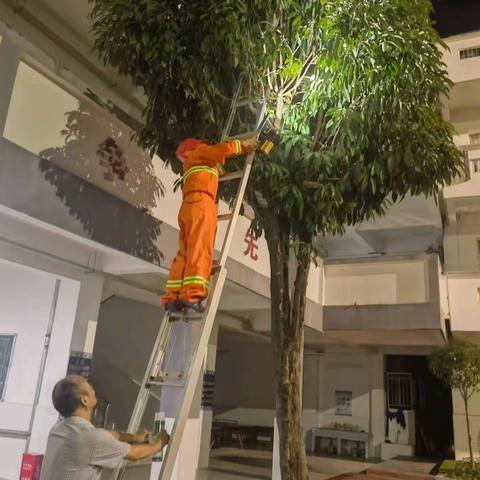 岁月如故，砥砺前行