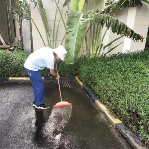 蓝天街道塔光社区开展登革热环境卫生整治活动