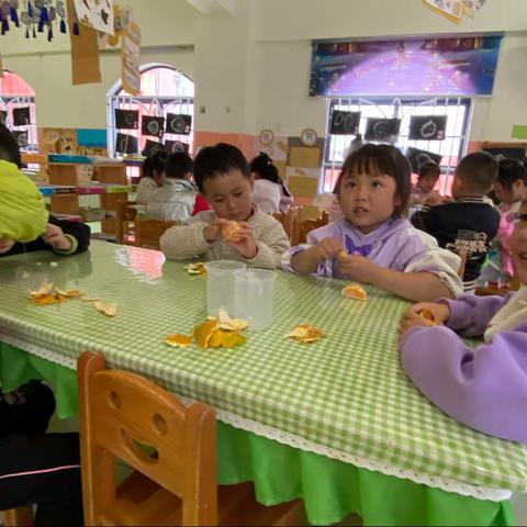 快乐的幼儿园生活