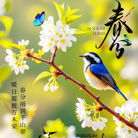 《知春分·晓春风》