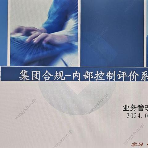 省分行营业部：   组织开展2024年内控评价工作专题培训