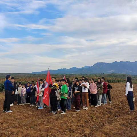 “高粱红了”涧口乡高湾小学研学之旅