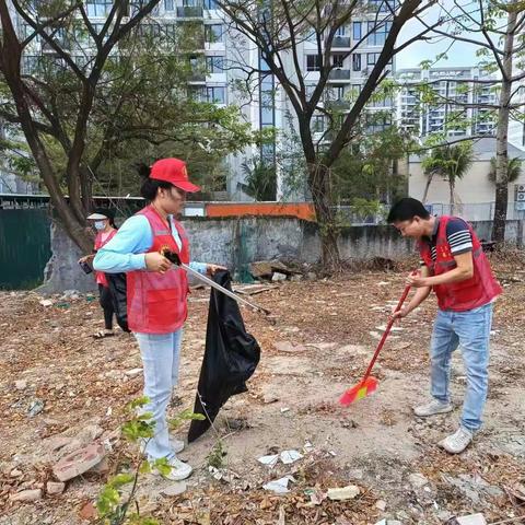 抱坡村开展清理蚊媒孳生地行动