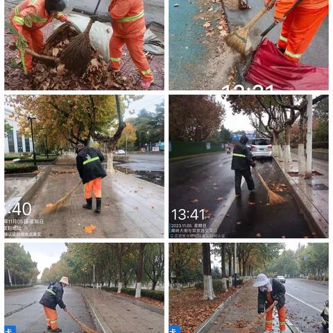 秋雨中最美的那一抹抹橘红