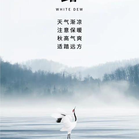 白露 | 白露降下温度 沃雅安温暖生活