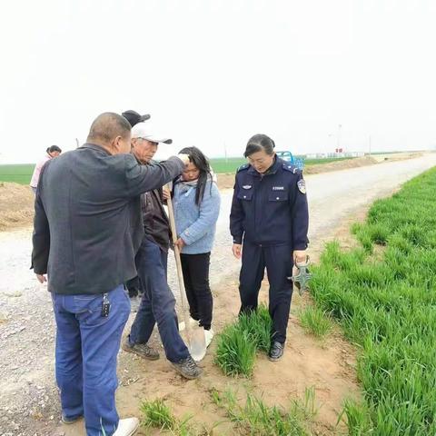 网格员调解土地纠纷  邻里握手言和