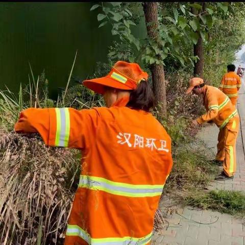 永丰街道董家店社区开展"清洁家园"卫生清扫活动