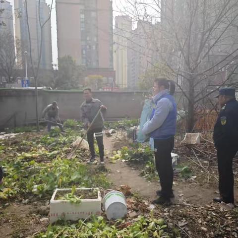 凝聚三方力量 对违规菜地说“不”