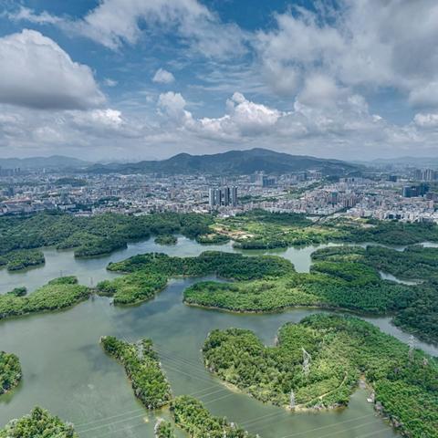 【综合管养周报】观澜森林公园和五指耙森林公园管理处2025年5月第一周工作汇报